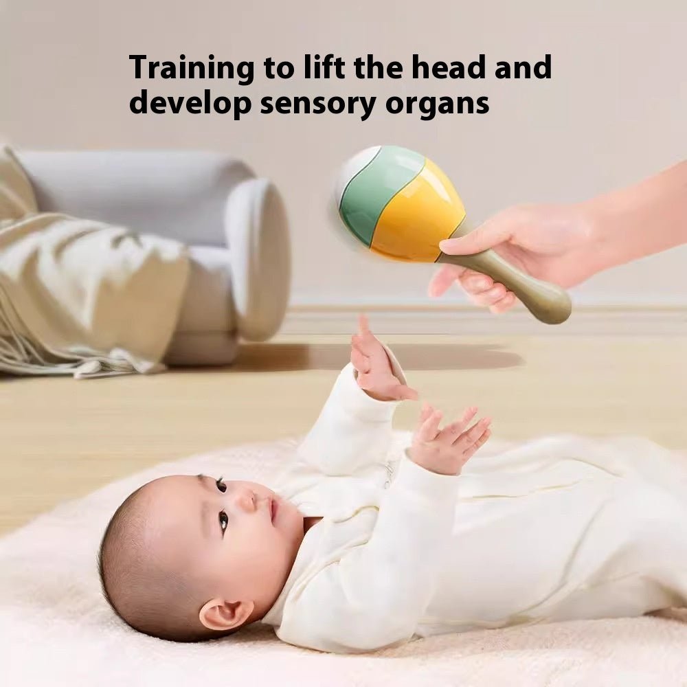 Shake It Baby — Rattle & Music Toy Gift Set